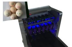 China High Resolution Egg Printing Machine / Date Code Printing Machine supplier