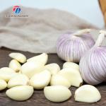 90KG Skin Peeling Air Compressor Garlic Processing Machine Garlic Root Shallots