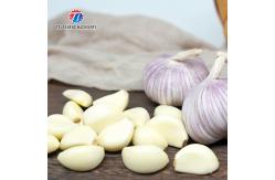 China 90KG Skin Peeling Air Compressor Garlic Processing Machine Garlic Root Shallots supplier