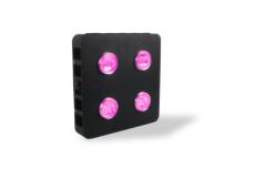 China AC85 - 265V Indoor LED Grow Light IP44 SMD2835 Full Spectrum Energy Saving supplier