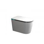 Automatic Sanitary Ware Items , Black Bathroom Wc Intelligent Ceramic Toilet Bowl