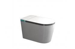 China Automatic Sanitary Ware Items , Black Bathroom Wc Intelligent Ceramic Toilet Bowl supplier