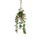 High Simulation Hanging  60cm Artificial Begonia Plants Lifelike for sale