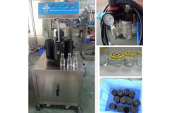 China Auto Bottle Filling Line High Vacuum Liquid Filling And Capping Machine supplier