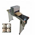 12V Automatic Batch Printing Machine Six Cartridge Can Print 1200,000 Eggs for sale
