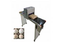 China 12V Automatic Batch Printing Machine Six Cartridge Can Print 1200,000 Eggs supplier