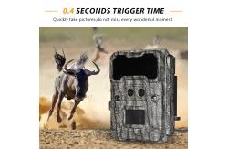 China High Sensor Resolution Wildlife Camera 13MP Cmos Dual Lens Trail Camera supplier