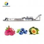 1500KG/H Orange Selection Fruit And Vegetable Processing Line for sale