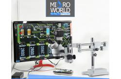 China Opto-Edu Zoom Stereo Digital Optical Microscope WF10x / 20mm Eyepiece supplier