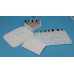White 95kPa Plastic Hot Cold Pack Insulated Shipping Boxes Disposable Ice Packs for sale