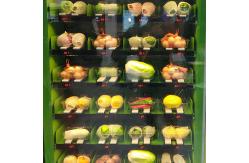 China Salad Fruit Vegetables Automatic Vending Machine School Lunch Small Vending Machines supplier