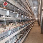 Poultry Chicken Farm Used Layer Chicken Cage 9 Layers / Cell for sale
