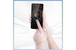 China Non Irritating Harmless Transparent PE Disposable Gloves Poly Food Service Gloves supplier