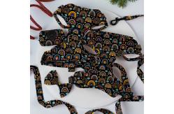 China Reversible Small Dog Harness And Leash Set Luxury Fashion Dog Walk Set supplier
