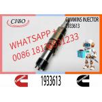 Common Rail Injectors XPI 2086663, 2029622, 2031836, 2031835, 1933613, 575177 DC1305, DC1307, DC1310, DC1312 for sale