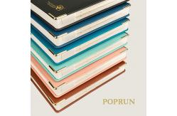 China 365 Days 80gsm Paper A5 Green Daily Planner 2023 Customization Daily Schedule supplier