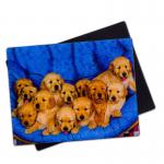 Lovely Puppies 3D Magnets Lenticular 3D Fridge Magnet For Souvenir Gift