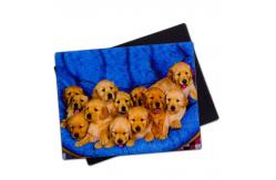 China Lovely Puppies 3D Magnets Lenticular 3D Fridge Magnet For Souvenir Gift supplier