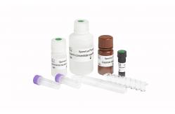 China SpermFunc Kits / Solid Phase BAPNA Method For Spermatozoa Acrosin Activity Quantitative Test supplier