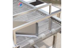 China 2KW Vegetable Processing Machine Stainless Steel Fruit Drying Selection Machine supplier