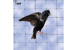 China Flame Resistant Bird Proof Net Non Conductive Pigeon Safety Nets 1-1/8 supplier