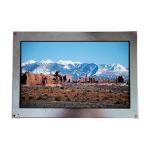 FPF8050HRUC-007 10.0 inch 640*400 TFT- LCD  Screen Panel for sale