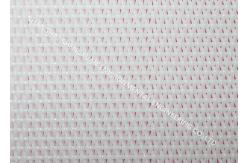 China Polyester Dewatering Conveyor Belts supplier