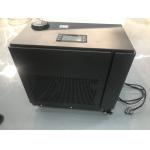 2HP 110V 220v Cold Plunge Water Chiller With WIFI Connection Ozone Disinfection For Spa for sale