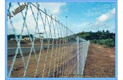 China Concertina Razor Wire, Razor Wire Fence, Razor Barbed Wire supplier