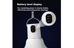 China 80W Waterproof Solar Emergency Light , Solar Emergency Bulb Lamp With Solar Charger supplier