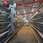 1950×2300×2000 Poultry Farm Laying Hens Cage A Type 3,4 Tiers Egg Layer Chicken Cages For Chicken Coops for sale