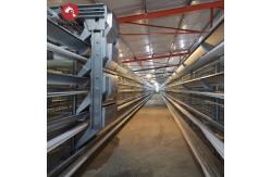 China 108 chickens High Brood Survival Rate Broiler Cage System For Little Chick supplier