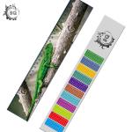 5.4X31cm Lenticular Printing Services / 3D lenticular Plastic Ruler Egypt Design