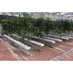 Vegetables PVC Drainage Substrate Planting Gutter Troughs Hydroponic Trough System for sale