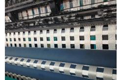 China High Strength Woven Polyester Geogrid Reinforcing Fabric For Mine Alkali Resistance supplier