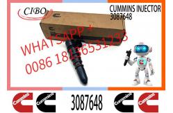 China Cum-mins M11 PT Fuel Injector 3087648 3406604 3071497 4914328 3079946 supplier