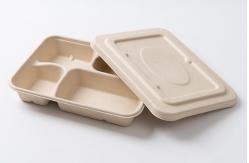 China One Time Use Dinner Plate Biodegradable Food Containers Compostable supplier