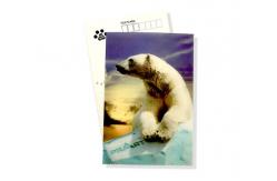 China New Style 3D Lenticular Printing Lenticular sheet Lenticular Greeting Card supplier