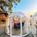 Large Luxury Geodesic Clear Transparent Outdoor Domes Igloo Tents for sale