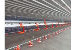 China Automatic Chicken Farms Nipple Water Drinker Broiler Poultry Equipment supplier