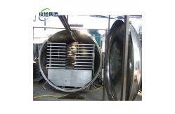 China Drying process Continuous Automatic Drying Junxu Freeze Drying Equipment for Fruits supplier