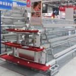 3 Tiers Automatic Battery Cage Poultry Farming A Type for sale