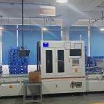 Ess And Ev Fully Automatic Lithium-Ion Battery Production Line Customizable
