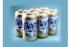 China Automatic Beer Canning Line Machine 1000ml Carbonated Beverage Can Filling supplier