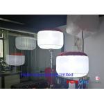 Dimmable Portable Emergency Safety Lights SUN LED Balloon Light For Versatile