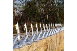 China 1.25m Garden Gate Security Spikes supplier