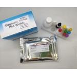 Hepatitis B Virus Core Antigen Elisa Home Test Kit 96 Pieces High Efficiency for sale
