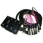 Molded Colo 10 Channel Stage Snake Cable With 1/4 Inch TRS Returns for sale