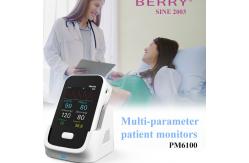 China Multi Parameter Patient Observer With One Year Warranty Audible And Visual Alarm supplier