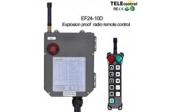 China EF24-10D Industrial Crane Remote Control Explosion Proof Crane Radio Remote Control supplier